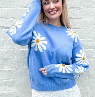 Fria - ASTER CORN FLOWER JUMPER